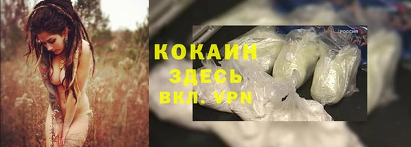 прущая мука Кодинск