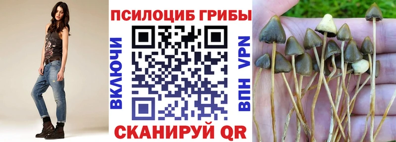 Купить где  Билибино  Галлюциногенные грибы мухоморы 